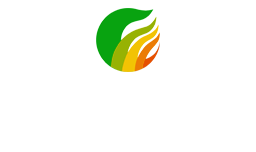 艾飞能源 - 能源未来